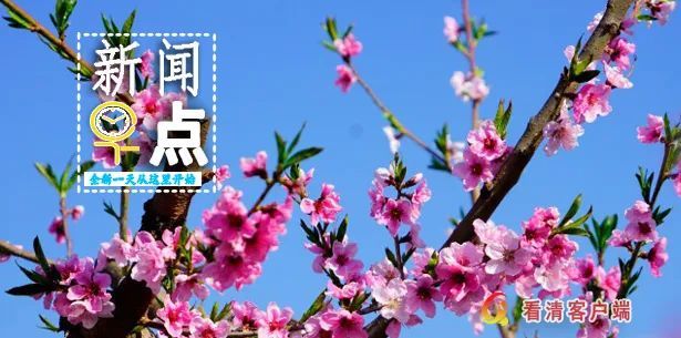 慶陽(yáng)橫店電影_慶陽(yáng)四中欺凌百度云_慶陽(yáng)百度電影院