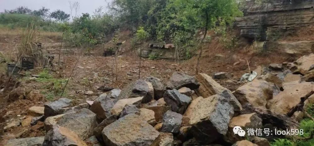 唐街:湖北宜昌夷陵区黄花镇楼房土地48万