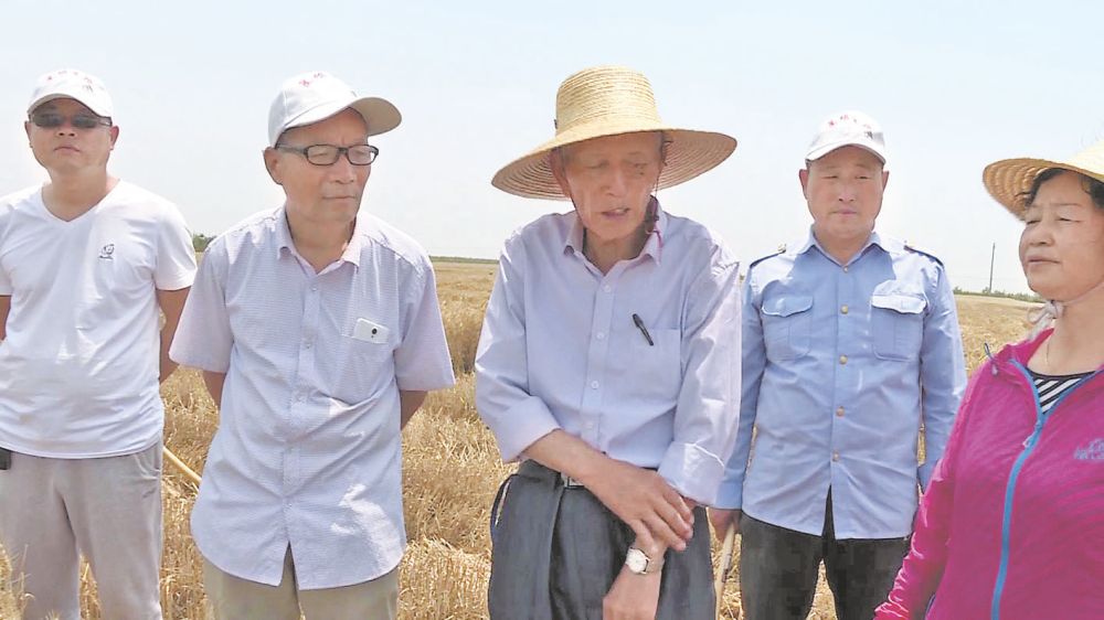 躬耕乡野田间践行科技为民追忆人民的科学家李立科