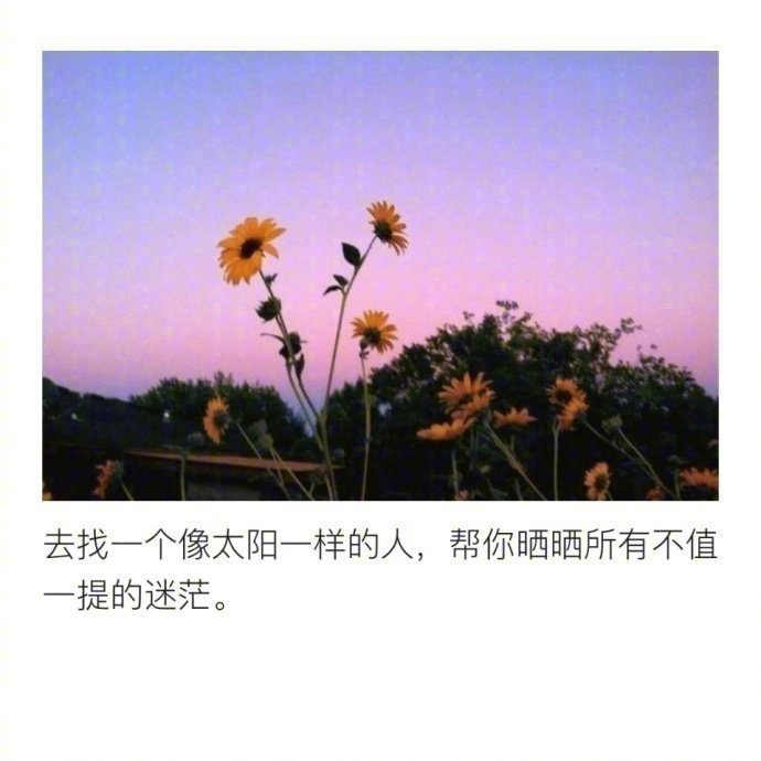 心情文字图片,朋友圈配图:眼不见,心不念