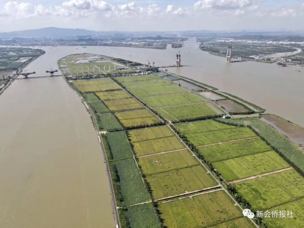 新会老地方沙仔岛百年风雨百年情