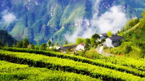 鹤峰金山村隐藏在山水诗卷中的小山村