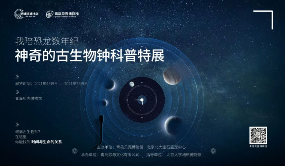 快来青岛贝壳博物馆看"恐龙"吧!