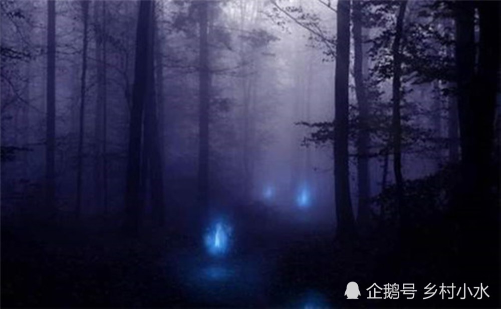 后来同几个室友打着手电筒去看了下,什么都没有,后来室友说是不是有鬼