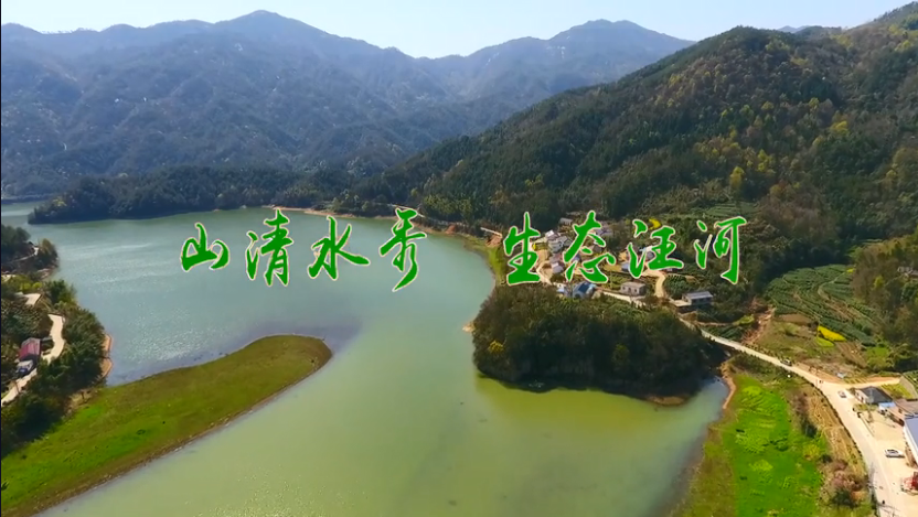 乡土桐城|安徽省美丽乡村汪河村:山清水秀 生态汪河