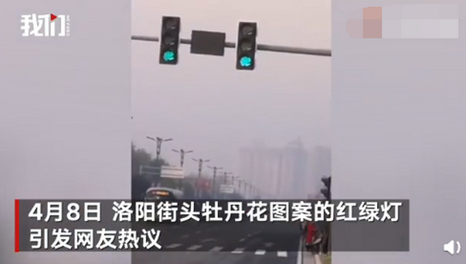 河南洛阳部分红绿灯变成牡丹形状,网友:有创意还很好看
