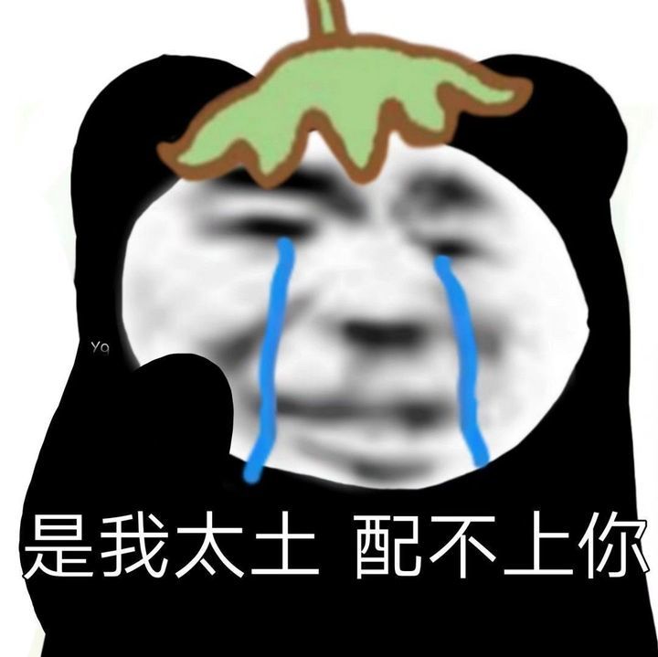 "会让别人客气问候你的表情包"