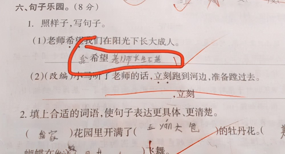 小学生花式造句走红,老师看后笑出眼泪,直言:书到用时方恨少