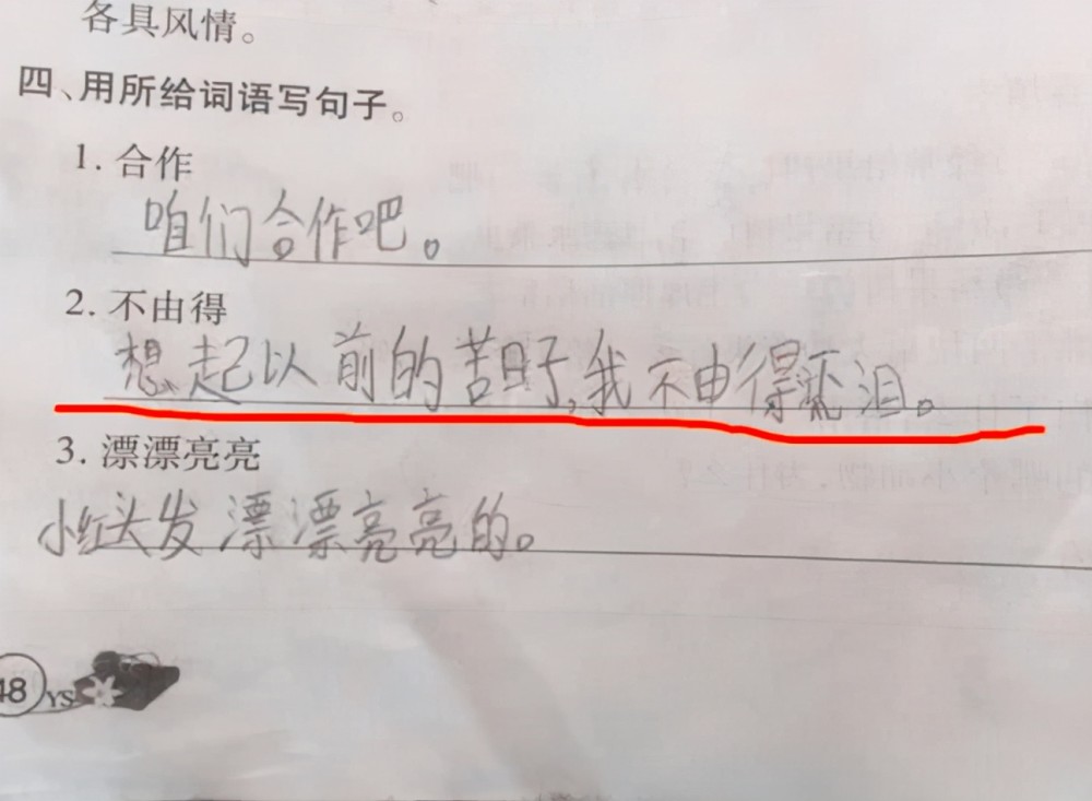 小学生花式造句走红老师看后笑出眼泪直言书到用时方恨少