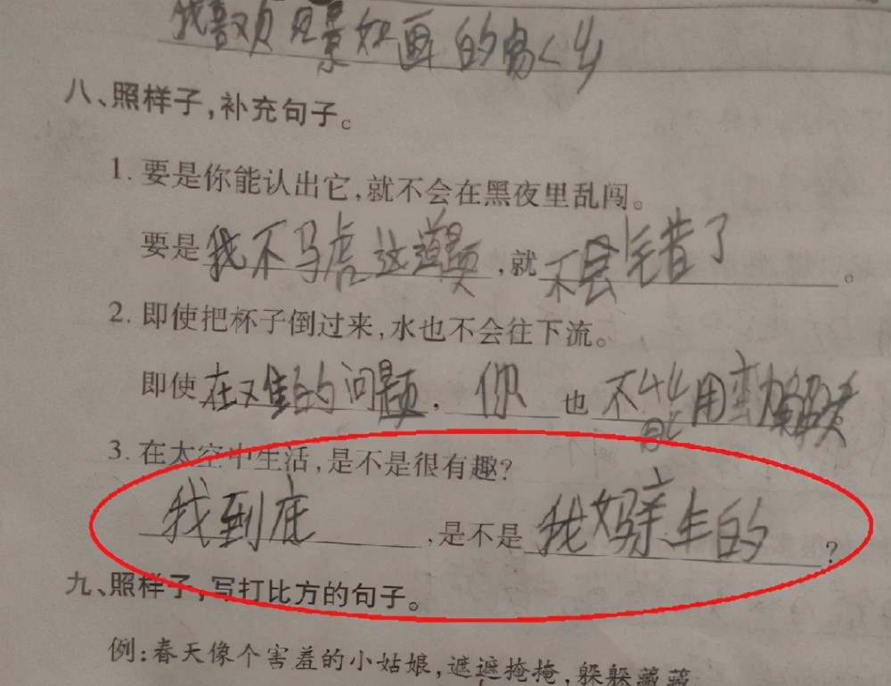 小学生花式造句走红,老师看后笑出眼泪,直言:书到用时方恨少