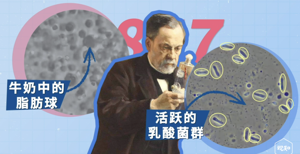 科学家去苍蝇馆子补充益生菌想多了图文版