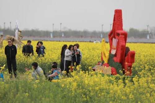 赏花走起 空港新城首届油菜花节开幕