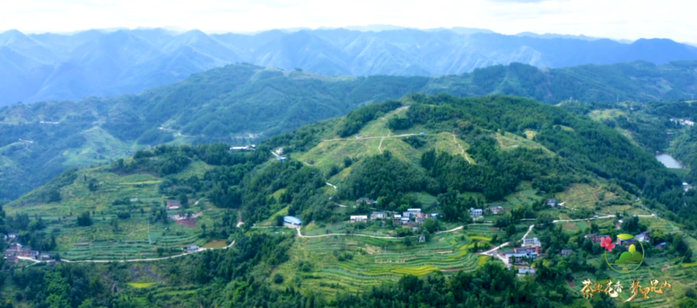 茶浓花香,这里是无为市昆山镇!