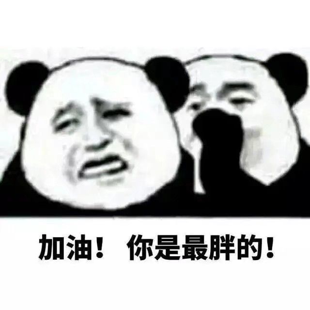 表情包:你别捣乱,没见我这学习呢