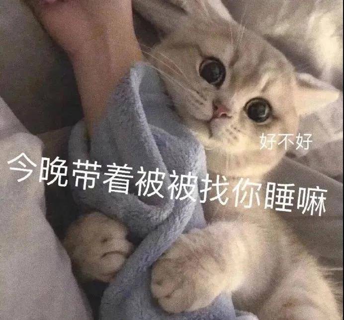 甜甜的萌宠表情包:你比小狗勾还有狗勾