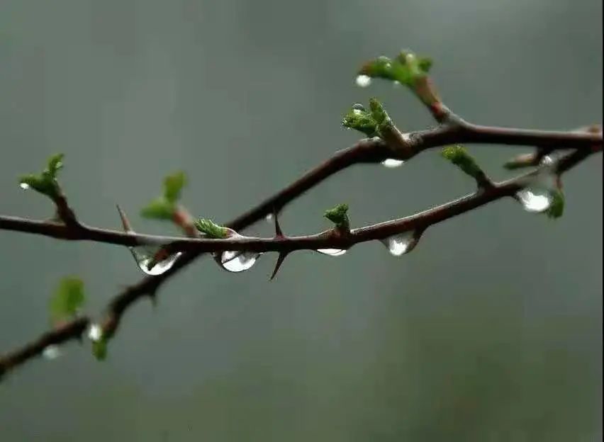 随风潜入夜,润物细无声