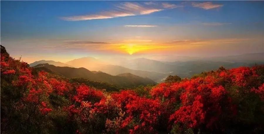 持赣州旅游年卡享免费入园3次 石城八卦脑 八卦脑风景区坐落于石城县