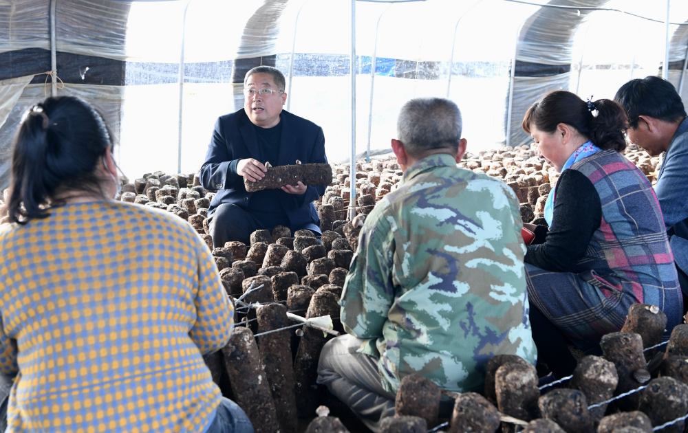 (社会)戴建良:致力推广食用菌种植技术助农致富