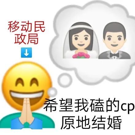 表情包嗑cp人系列