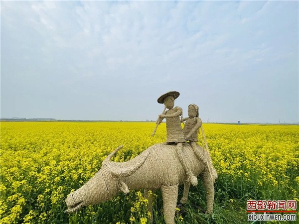 2021西咸新区空港新城首届油菜花节盛大开幕 万亩油菜