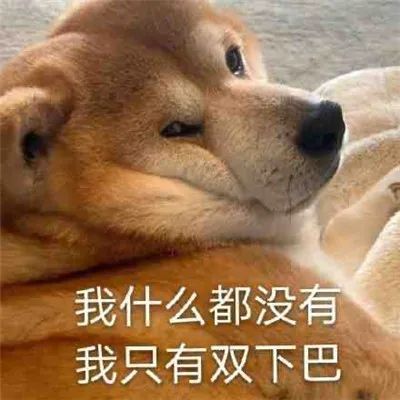 表情包:醒醒 该起床打工了