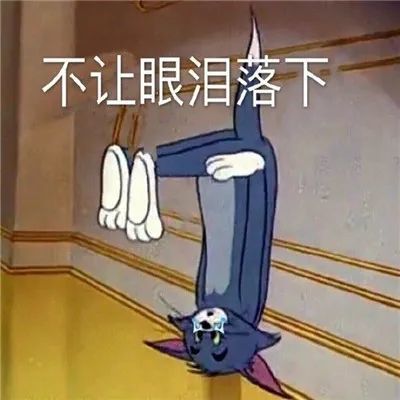 请允许我做一个悲伤的表情包