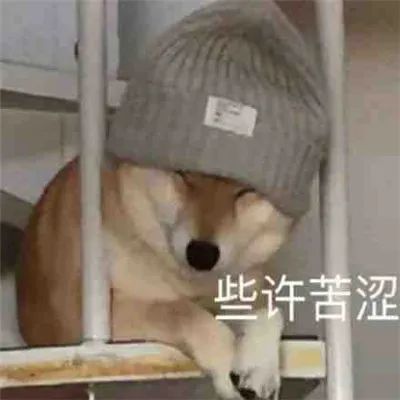 表情包:醒醒 该起床打工了