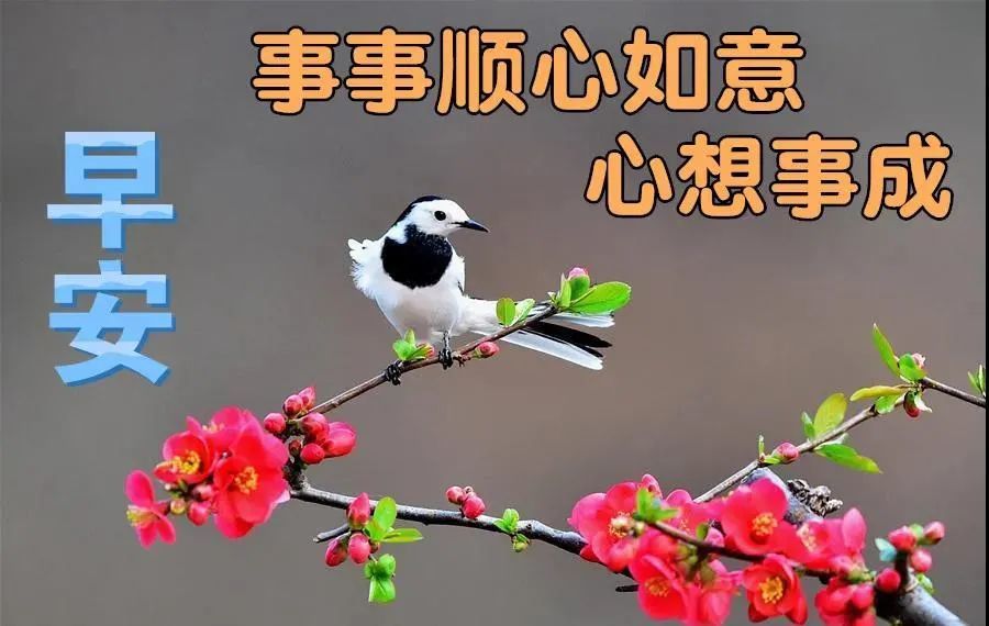 4月10日周六最新早上好问候动态表情图片 暖心早上好图片表情祝福语录