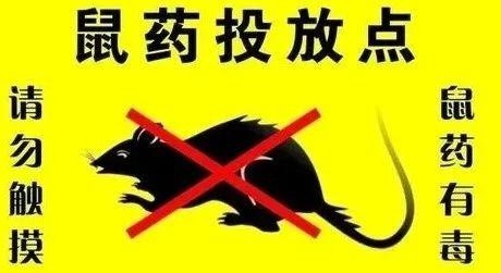 转扩!宜昌下周一投放鼠药