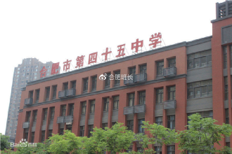 六安路小学本部,南门小学森林城校区,六安路小学中铁国际城校区,四十