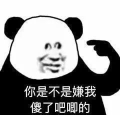 表情包|搞怪熊猫头表情包