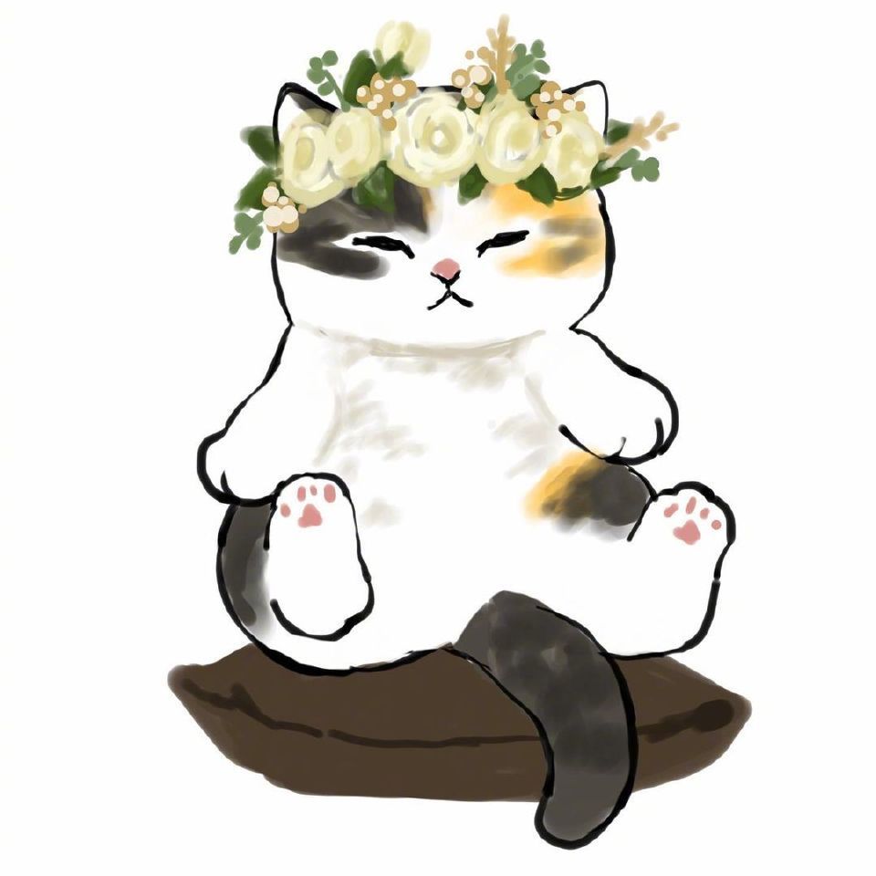 今日份治愈喵喵头像