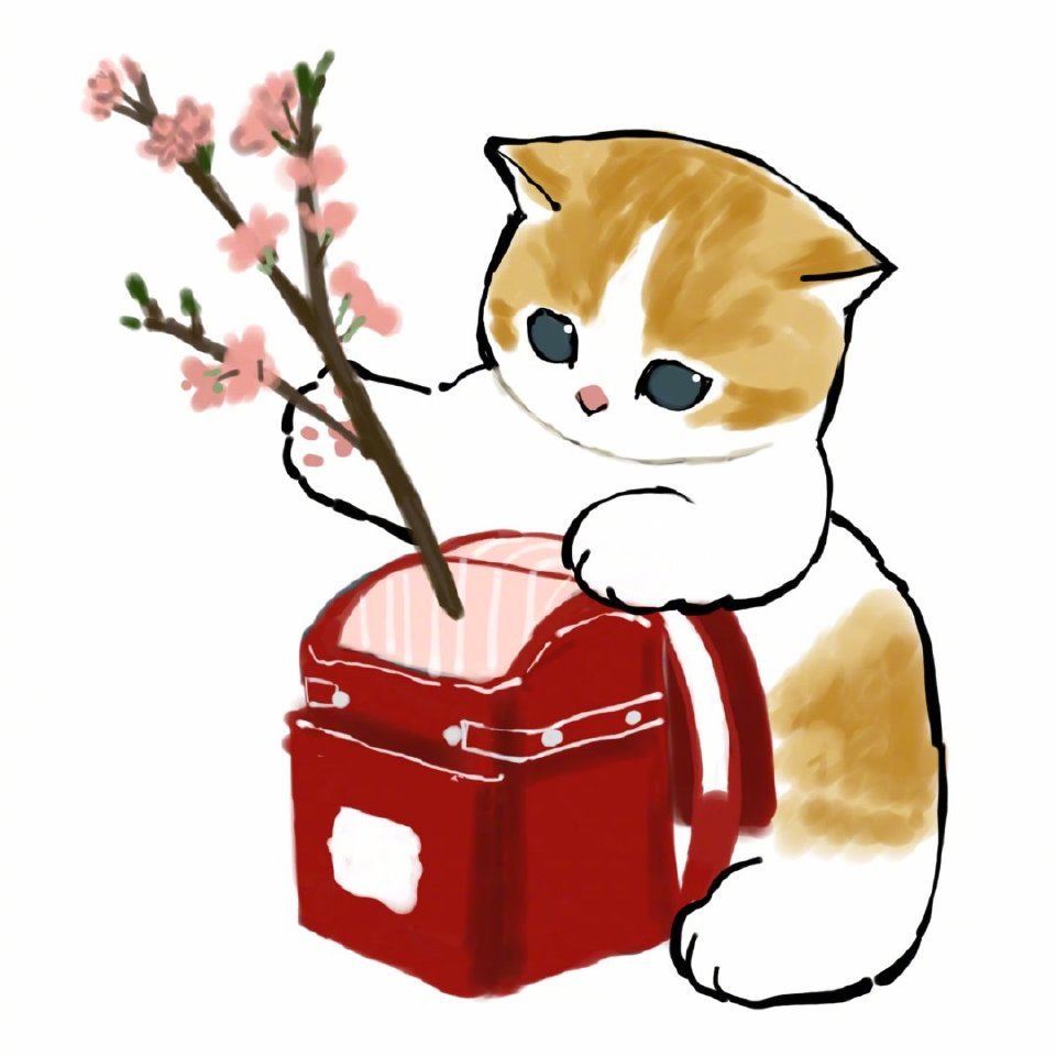 今日份治愈喵喵头像