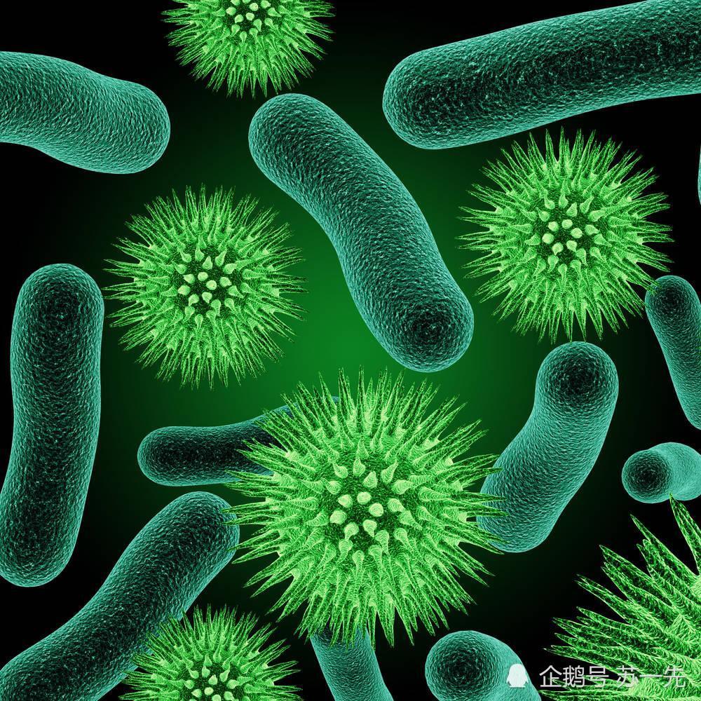 能进行光合作用的生物,除了我们常见的绿色植物之外,还有一些光合细菌