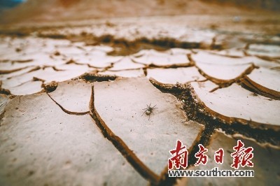 粤东旱情持续多地错峰供水