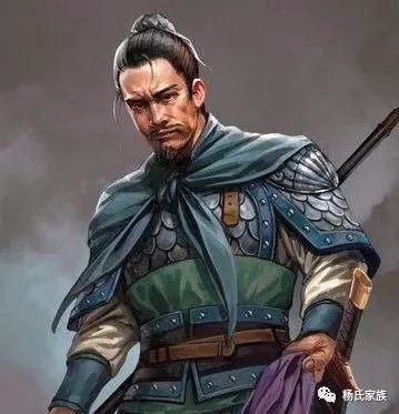 杨姓历史上的十大名将