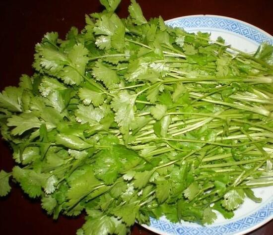 芫荽也叫香菜,是种中药,能治好多疾病