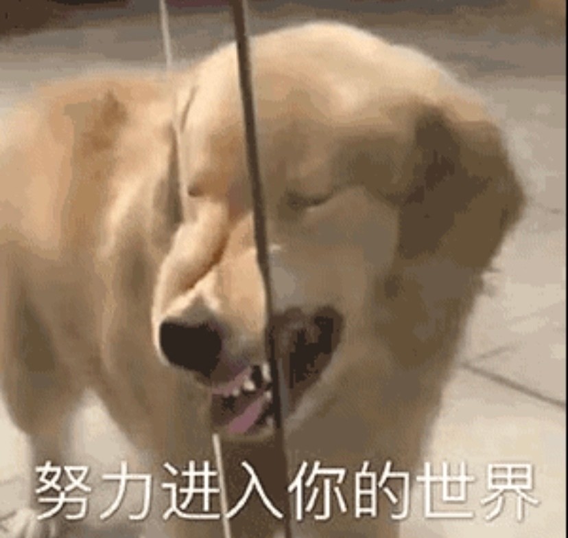 昨天你把我删了,我看着红色感叹号 陷入了久久的沉思 我明白了 红色