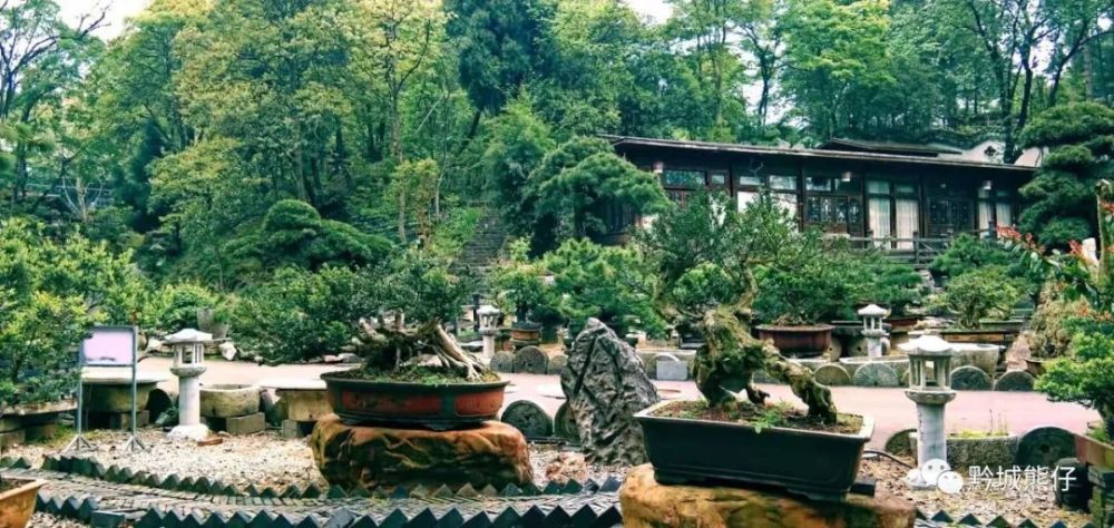 贵州省植物园舍烟火喧哗人生享静谧清幽的植物博物馆