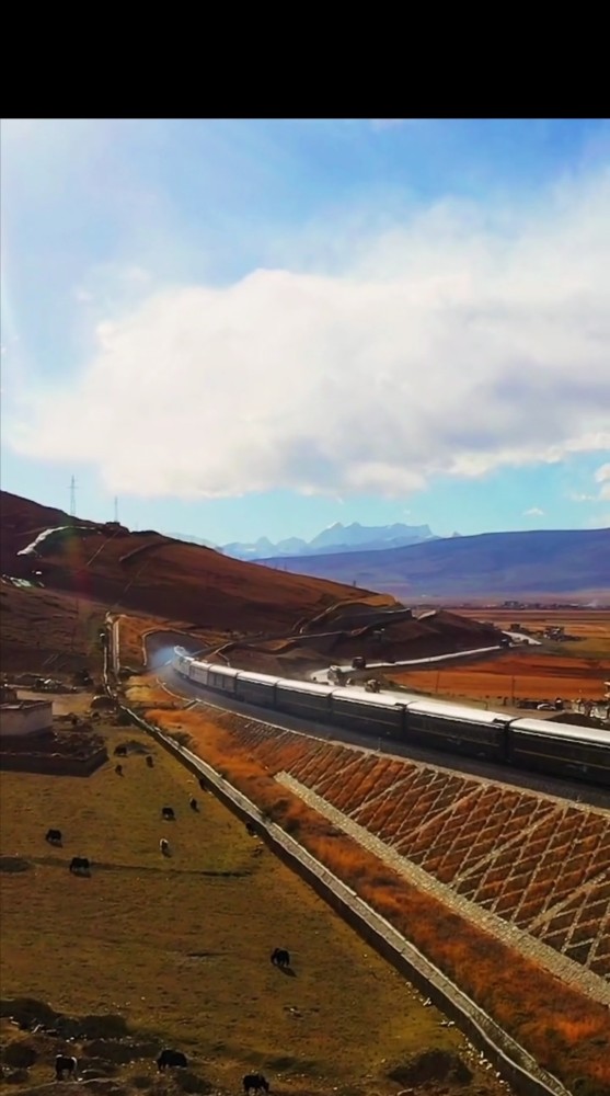 通往雪域高原的天路青藏铁路