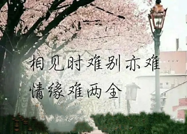 念念你我简谱_想想念念简谱