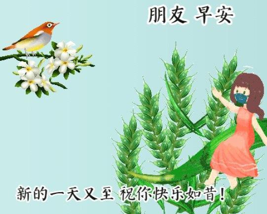 精致最新早安春天图片