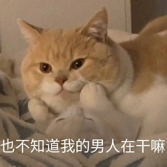 表情包:也不知道我的男人在干嘛