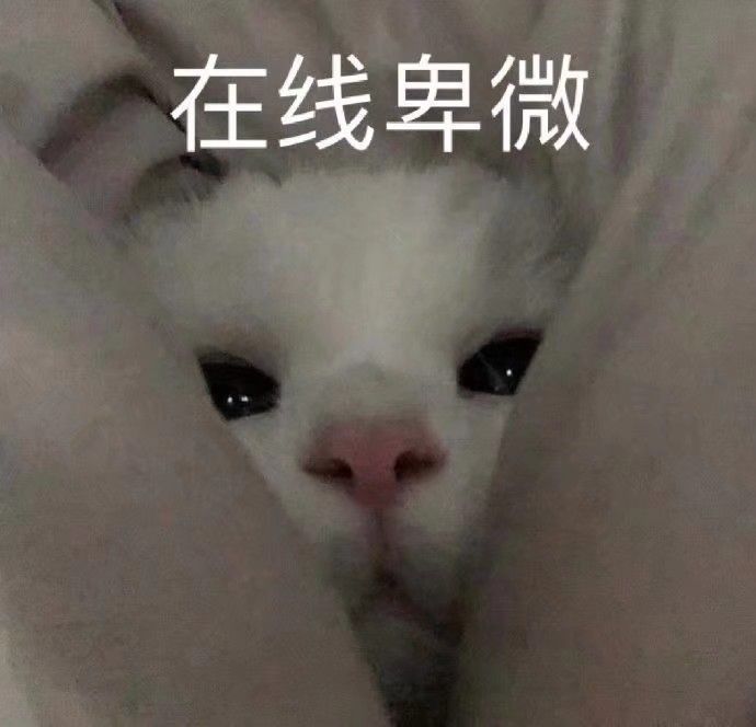 "做错事被憨憨当场抓获时用的撒娇表情包～"