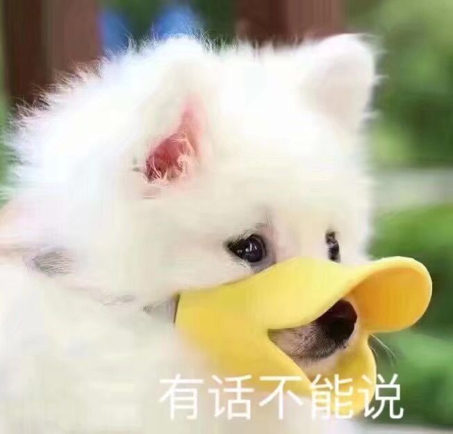 "做错事被憨憨当场抓获时用的撒娇表情包～"