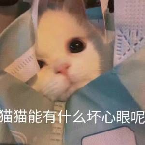 "做错事被憨憨当场抓获时用的撒娇表情包～"