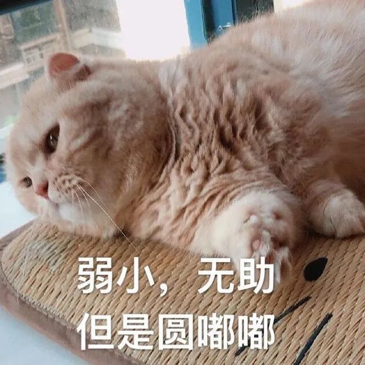 "做错事被憨憨当场抓获时用的撒娇表情包～"