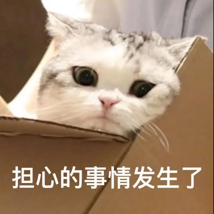 "做错事被憨憨当场抓获时用的撒娇表情包～"