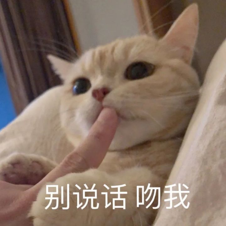 "做错事被憨憨当场抓获时用的撒娇表情包～"
