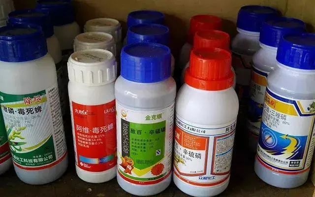百草枯|硫丹|果树|农药|农资店